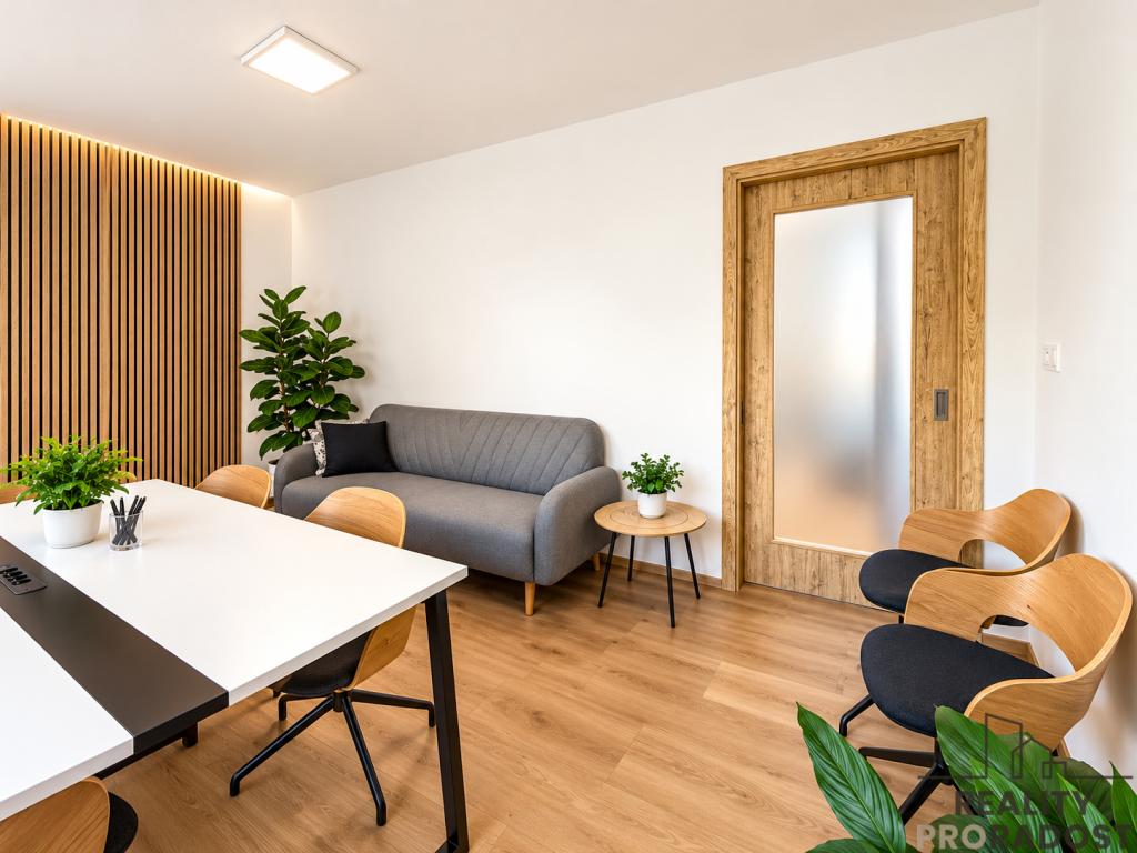 Pronájem bytu 2+kk 55 m2