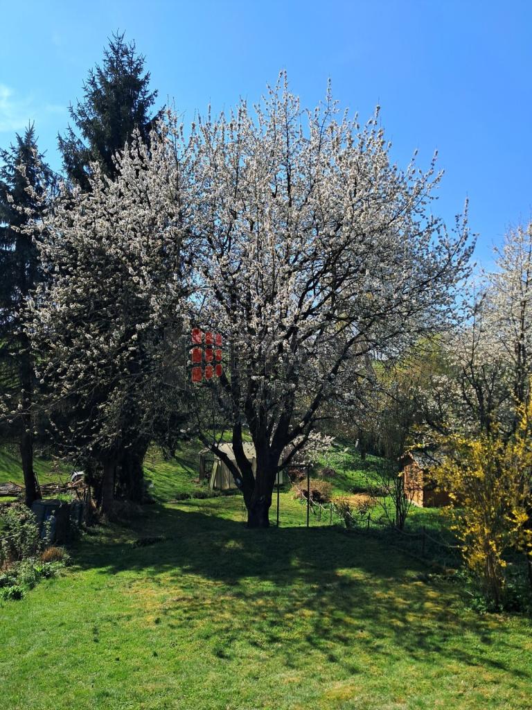 Prodej domu 46 m2