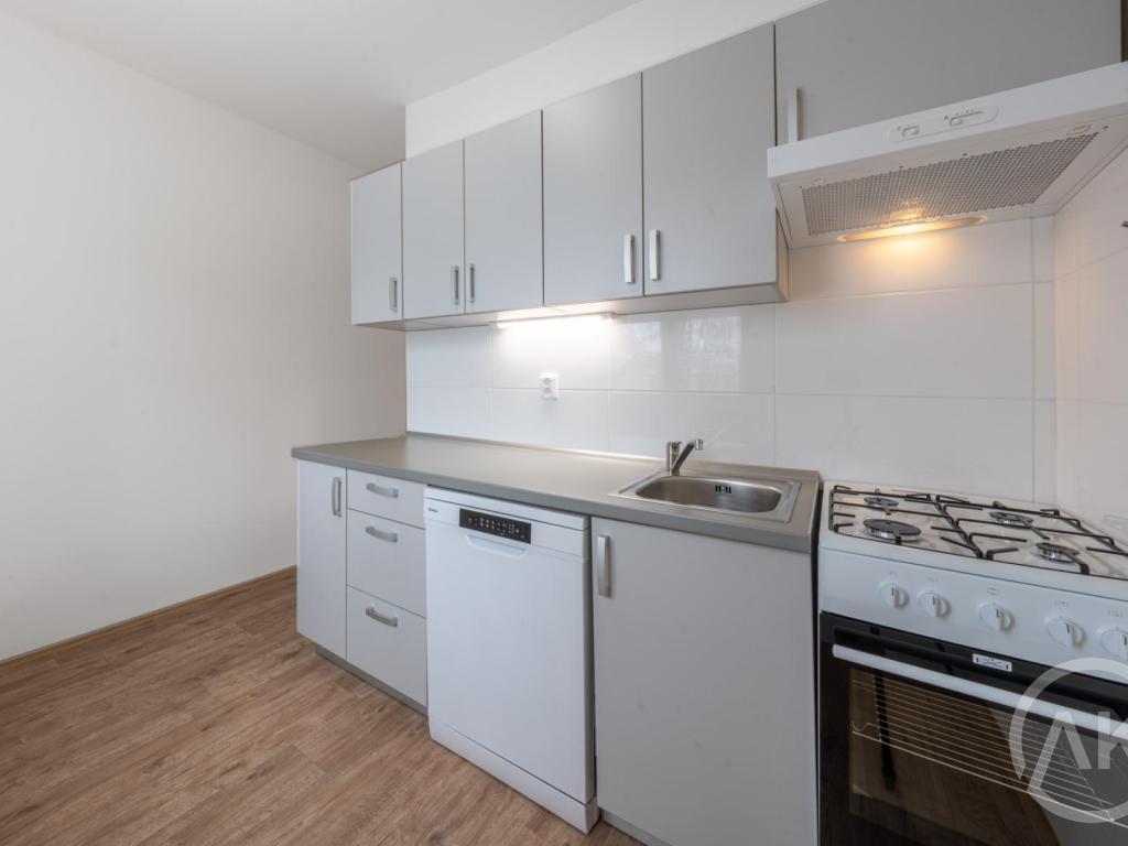 Pronájem bytu 1+1 39 m2