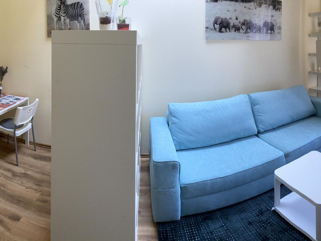 Pronajem bytu 1+1 30 m2