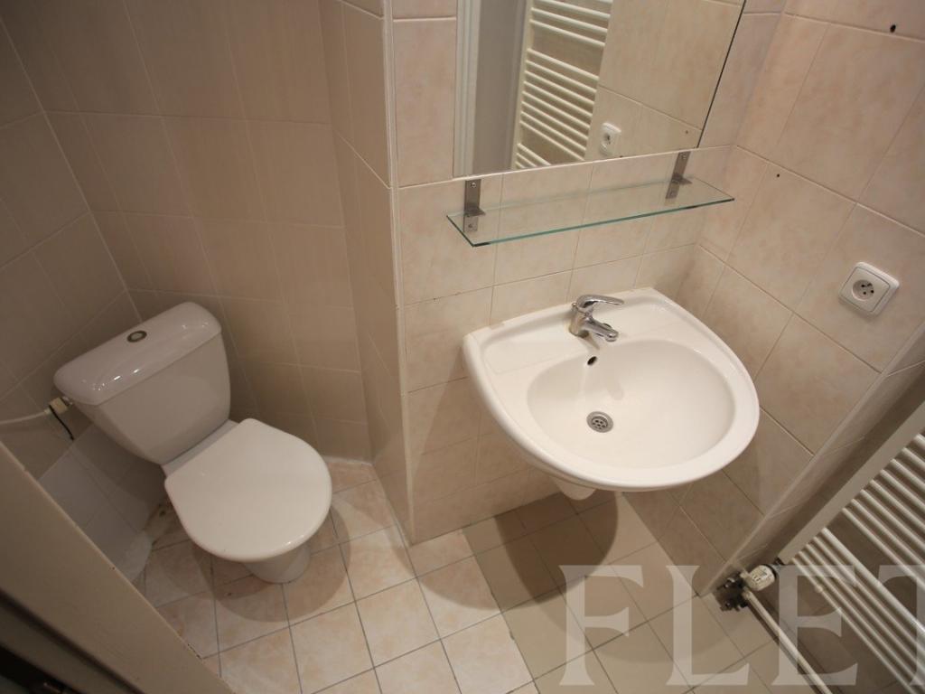 Pronájem bytu 1+1 50 m2, Praha – náhled fotky 13