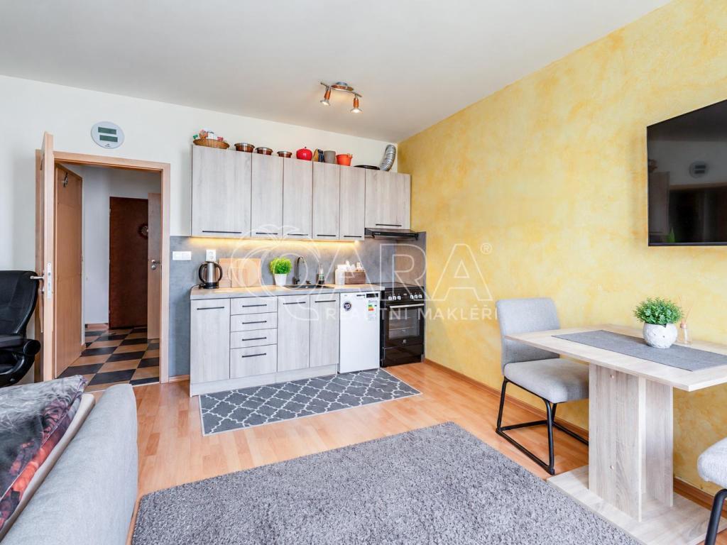 Pronájem bytu 1+kk 31 m2