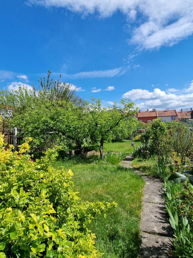 Prodej domu 100 m² – další