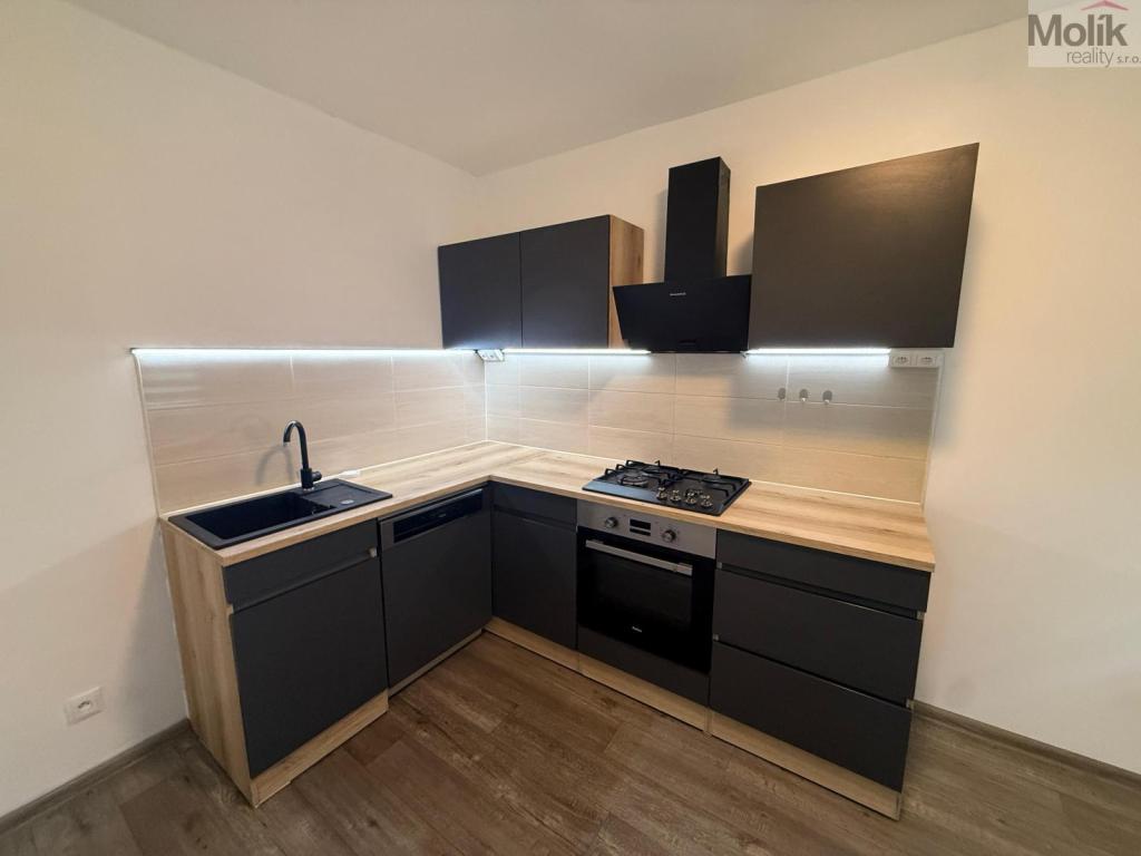 Pronájem bytu 3+1 55 m2