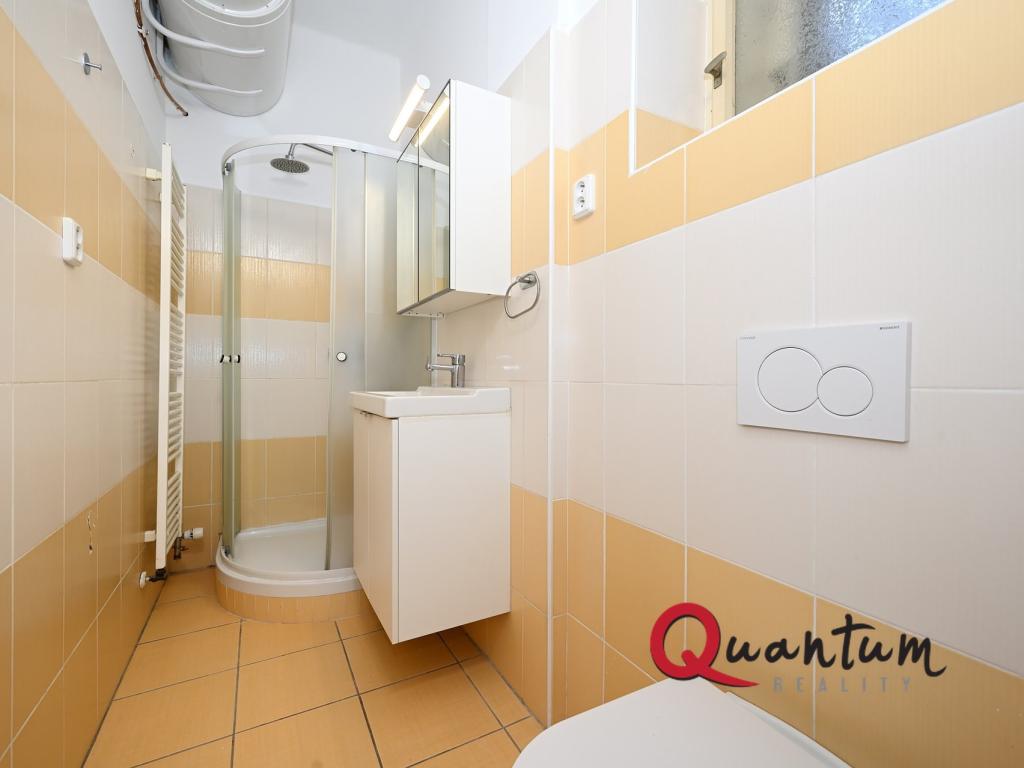 Pronájem bytu 1+1 47 m2