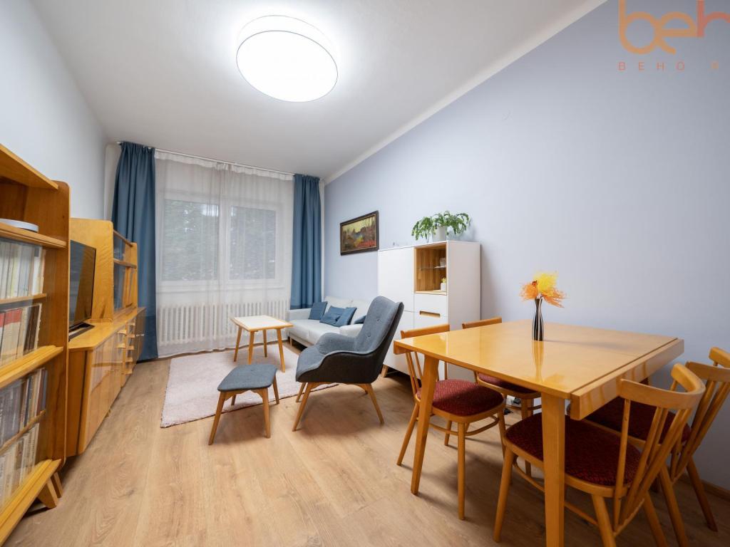 Pronájem bytu 2+1 47 m2