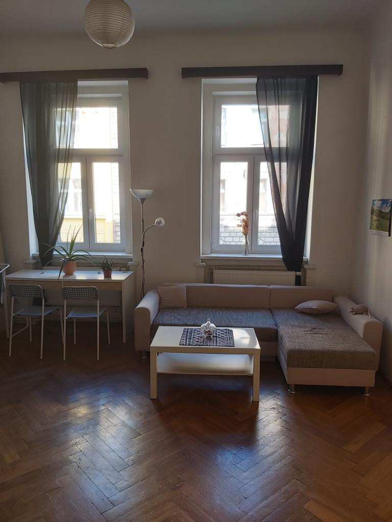 Spolubydleni bytu celý pokoj 25 m2