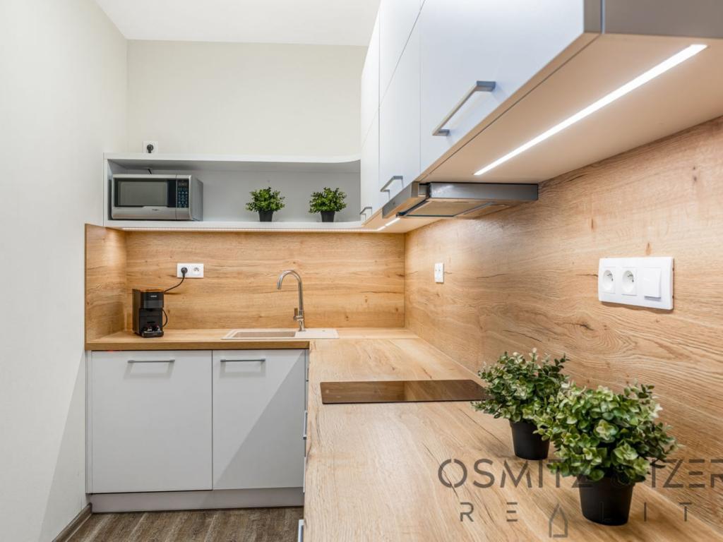 Prodej bytu 2+kk 59 m2, Říčky v Orlických horách – náhled fotky 13