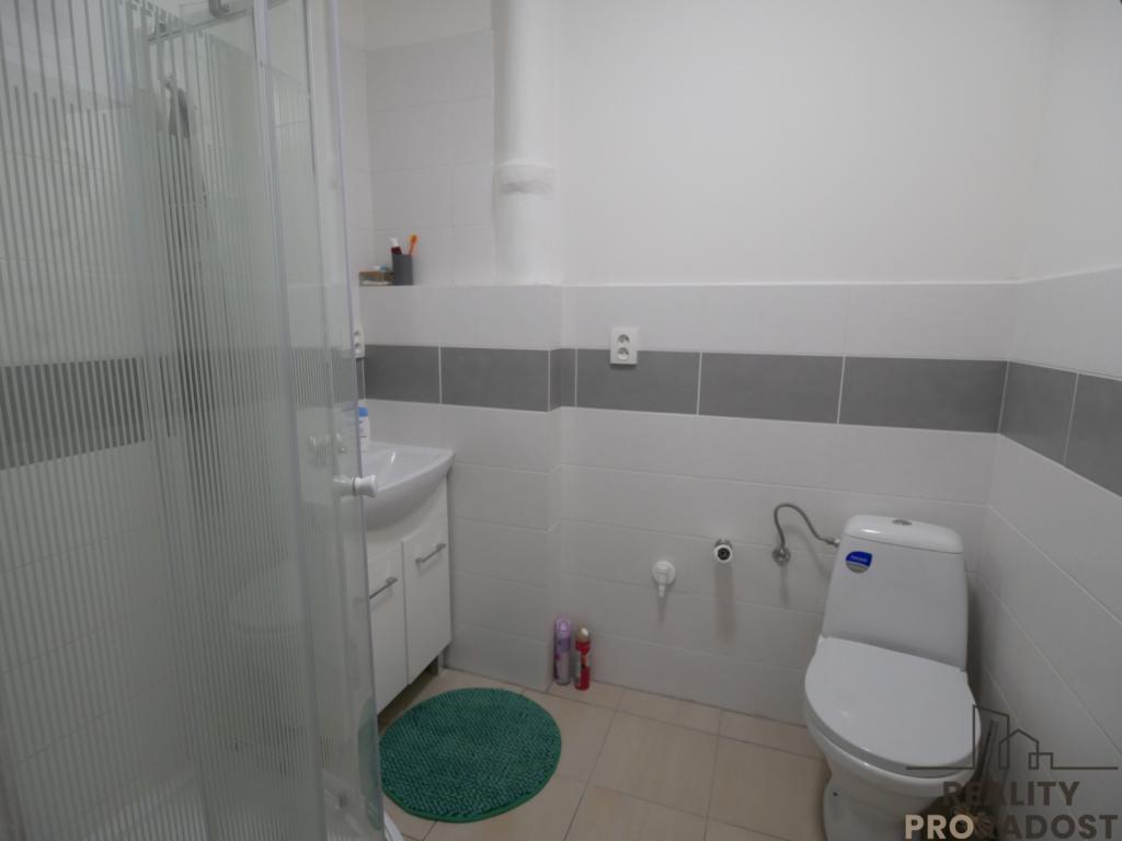 Pronájem bytu 1+kk 42 m2