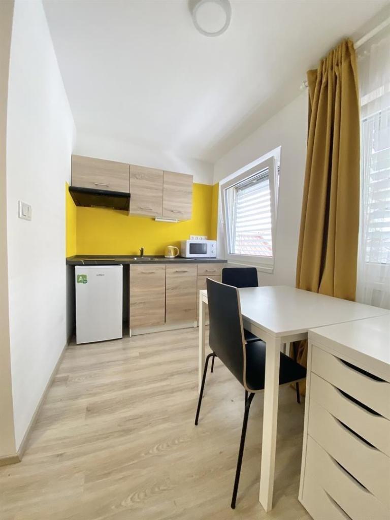 Pronájem bytu 1+kk 18 m² – další