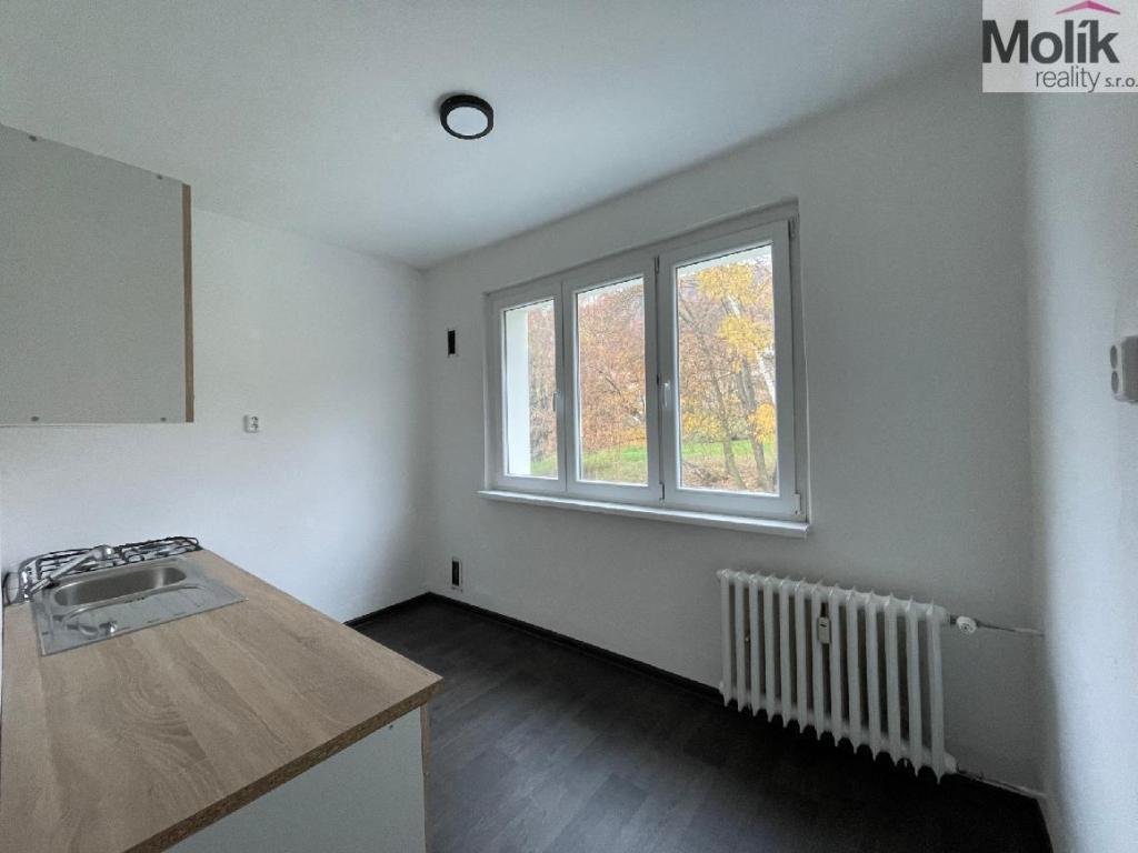 Pronájem bytu 2+1 55 m2