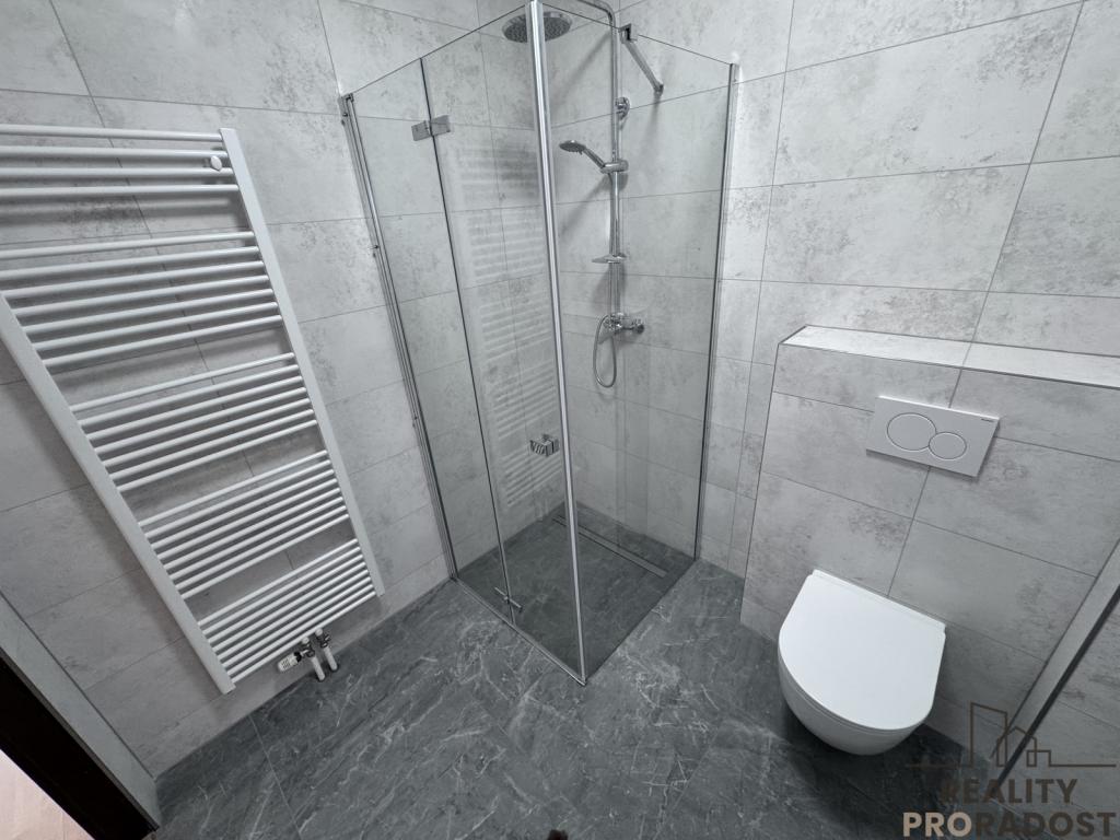 Pronájem bytu 1+kk 50 m2