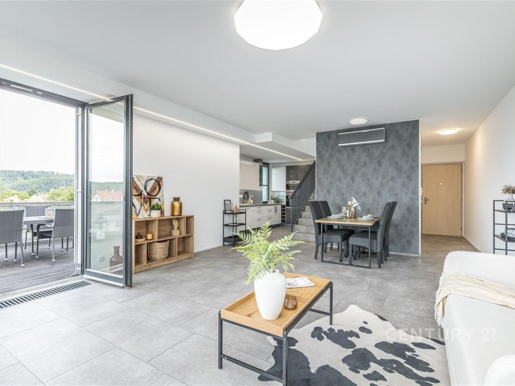 Pronájem bytu 4+kk 210 m2