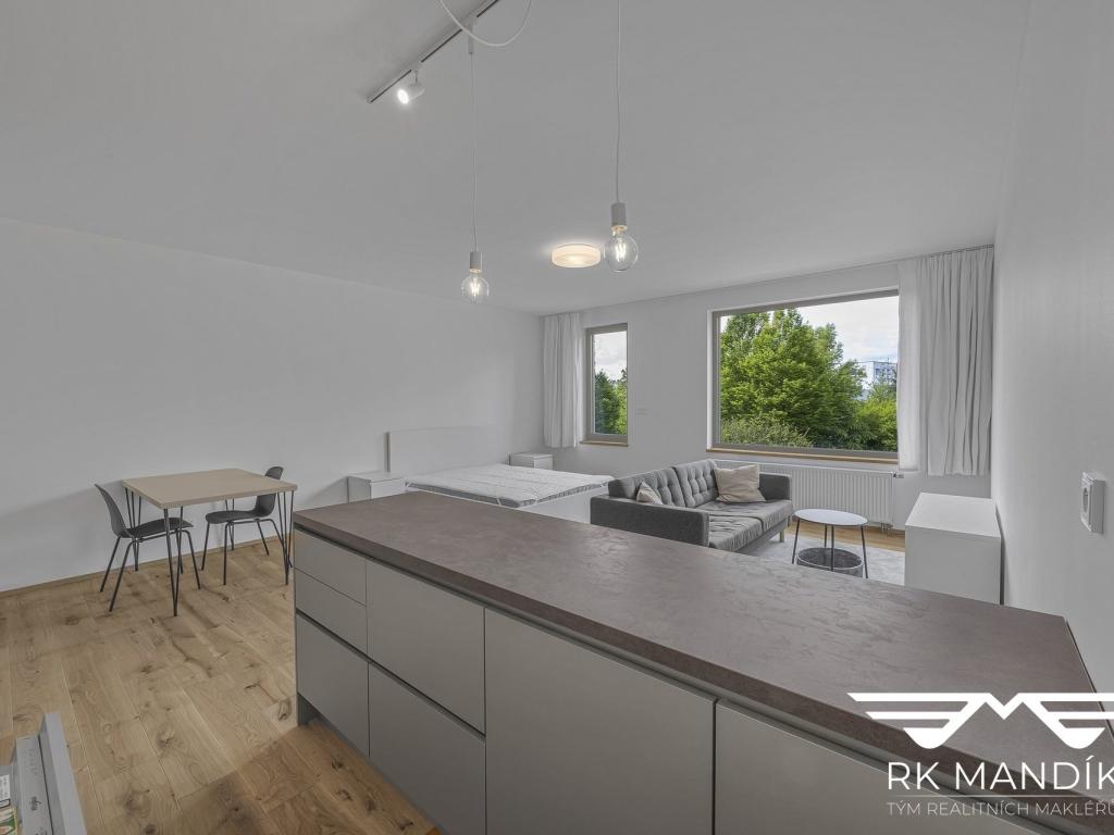 Pronájem bytu 1+kk 45 m2