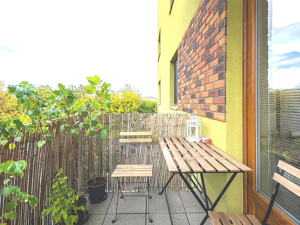 Pronájem bytu 2+kk 55 m2, Brno – náhled fotky 9