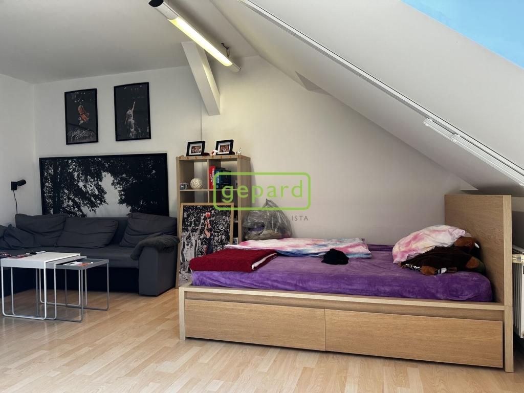 Pronájem bytu 1+1 55 m2