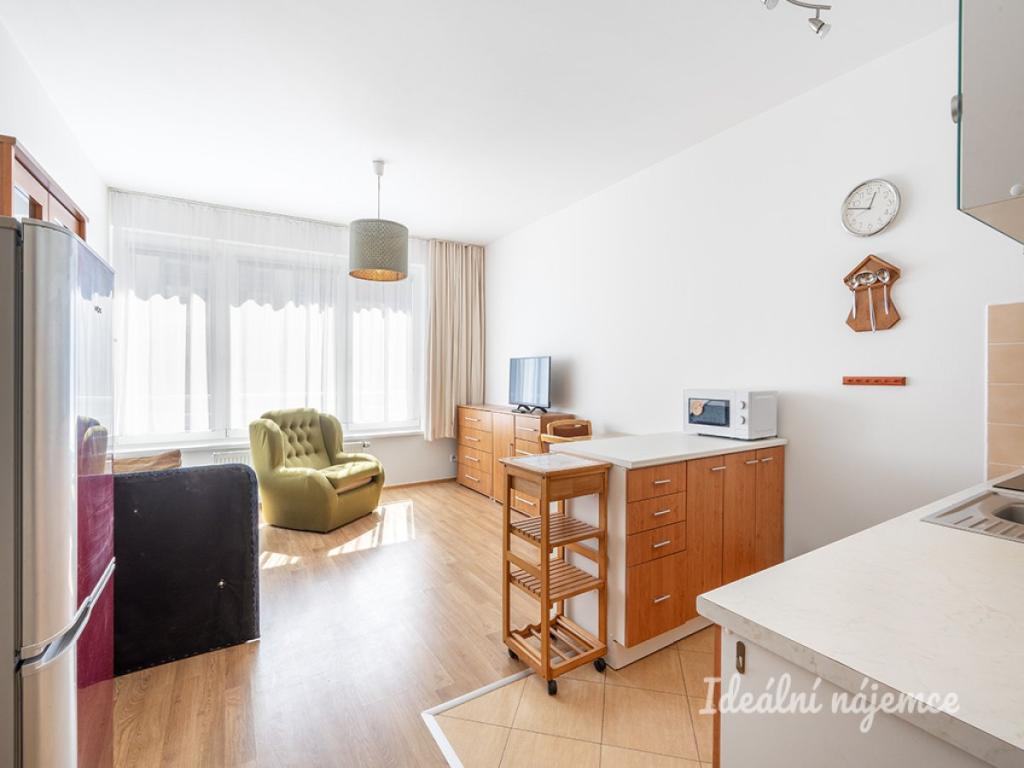 Pronájem bytu 1+kk 34 m2