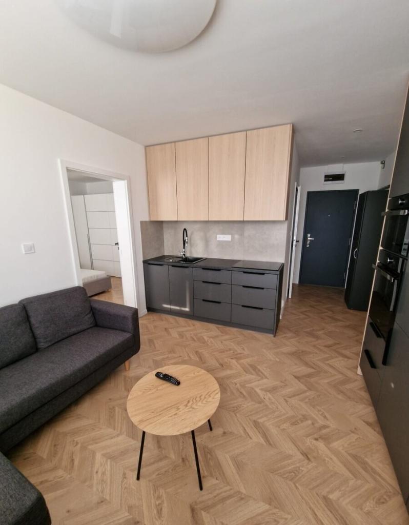 Pronájem bytu 1+1 48 m2