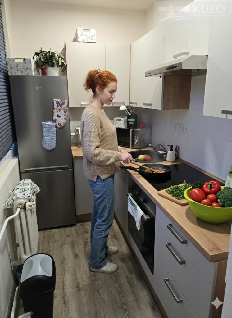 Pronájem bytu 1+kk 28 m2