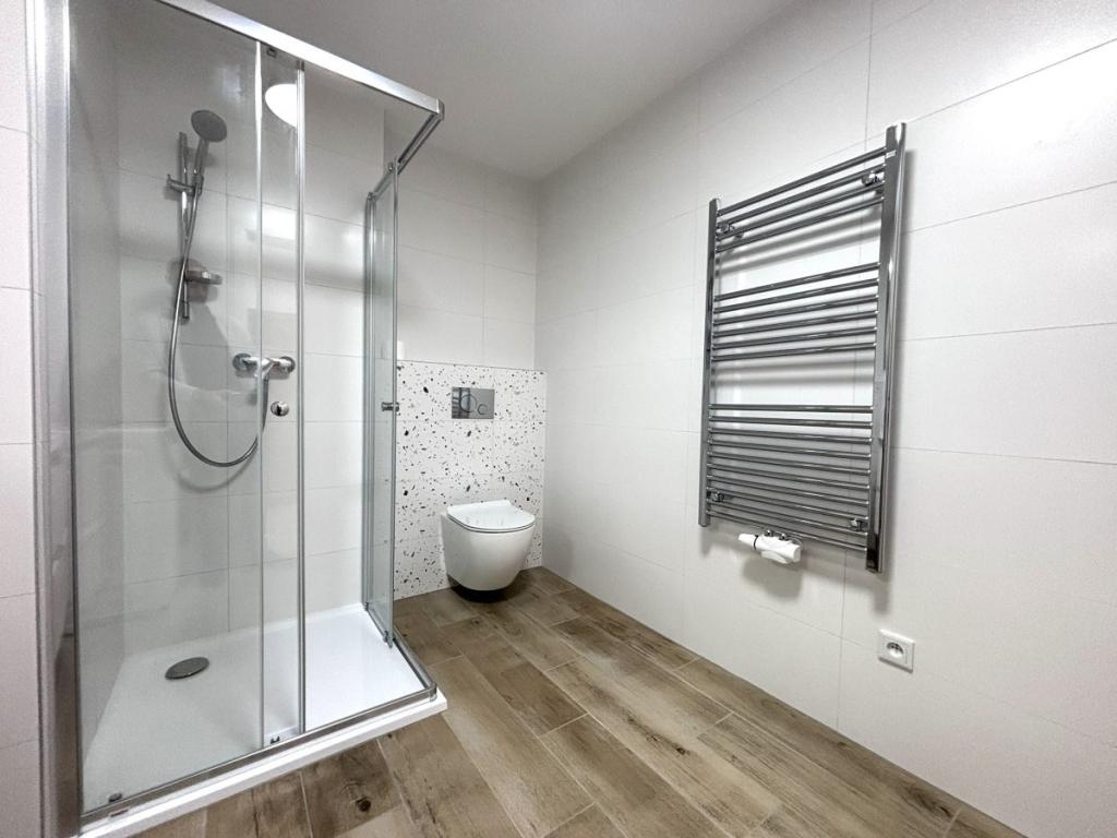 Pronájem bytu 1+kk 35 m2, Plzeň – náhled fotky 9