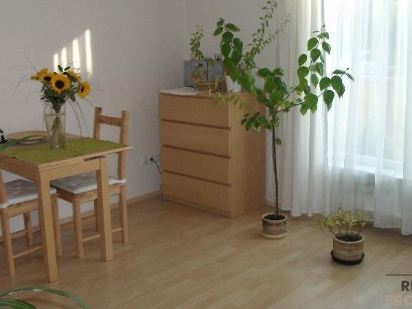 Pronájem bytu 1+kk 29 m2