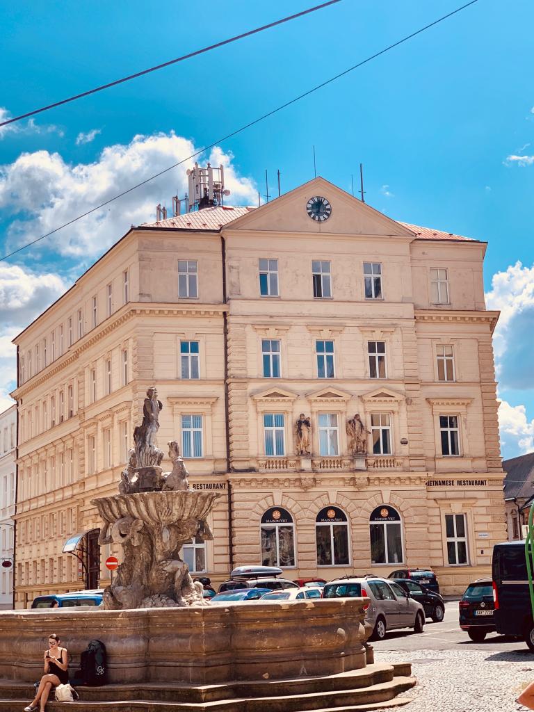 Spolubydelní celý pokoj, Olomouc - Křížkovského,