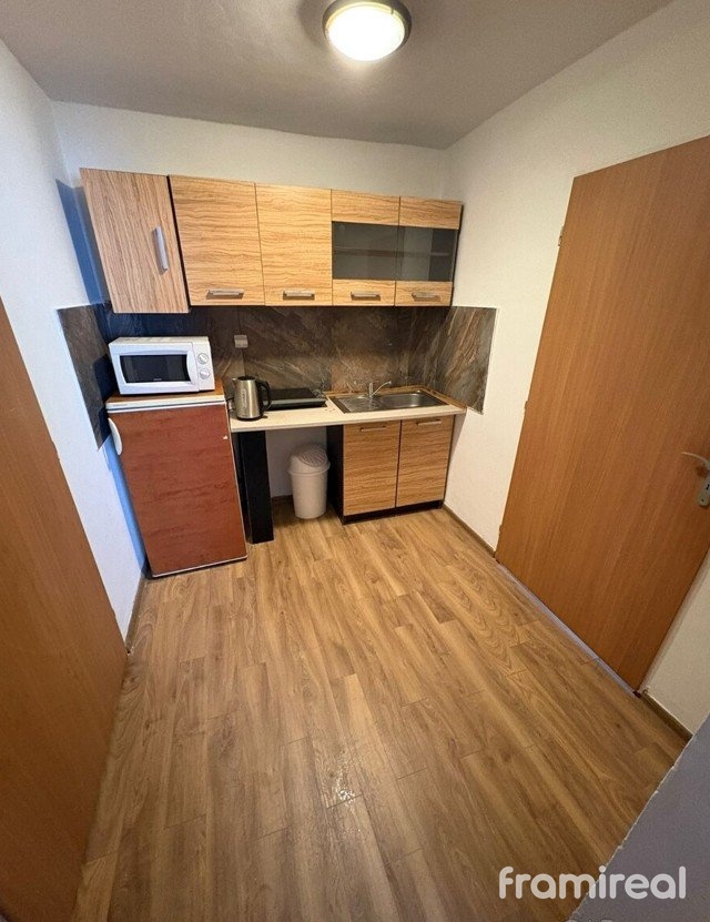 Pronájem bytu 1+kk 33 m2