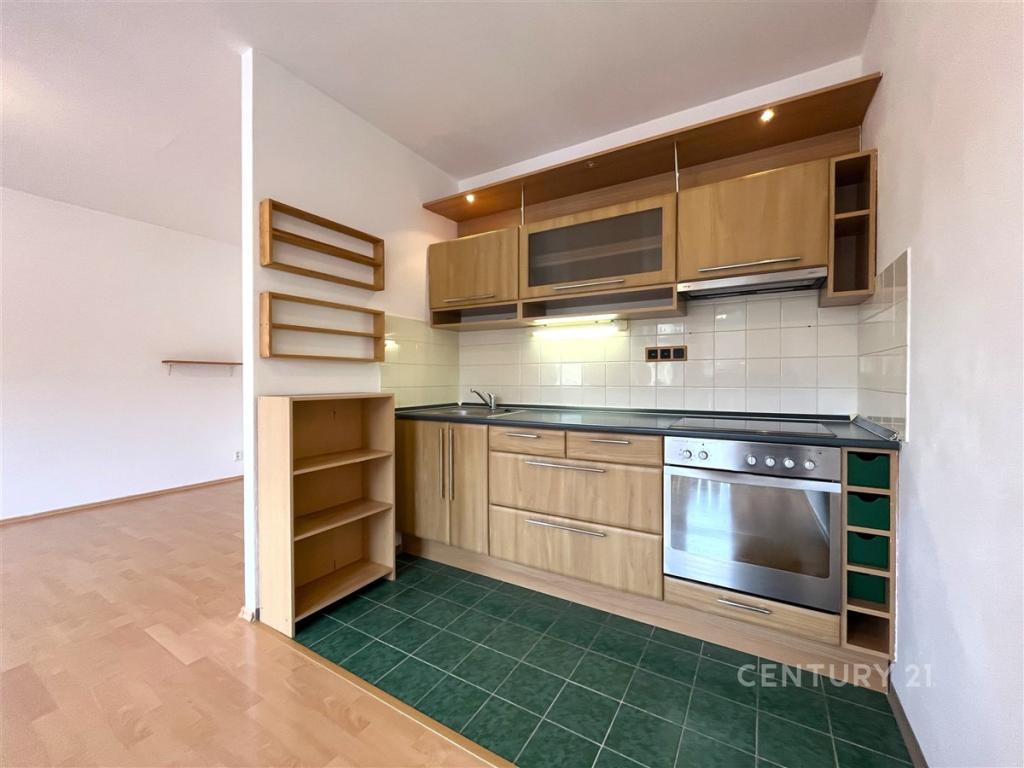Pronájem bytu 1+kk 49 m2