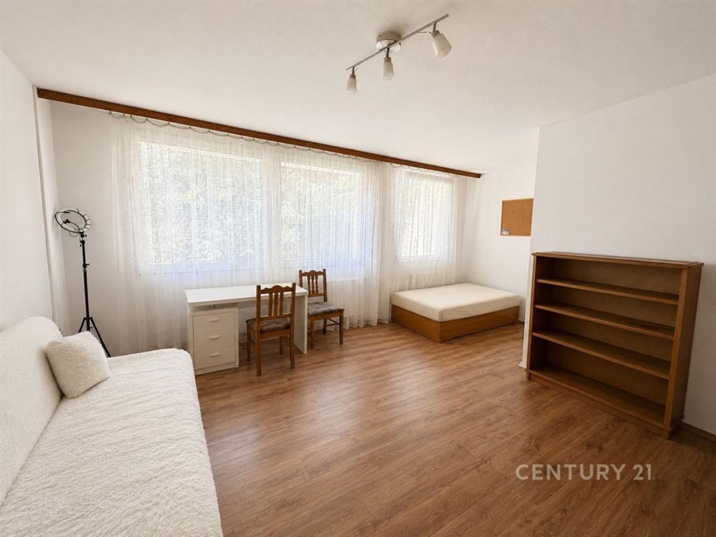 Pronájem bytu 3+1 121 m2