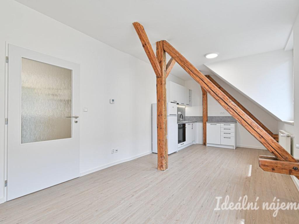 Pronájem bytu 1+1 45 m2