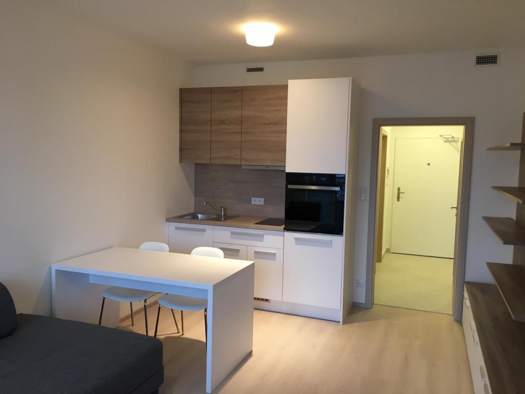 Pronájem bytu 1+kk 30 m2