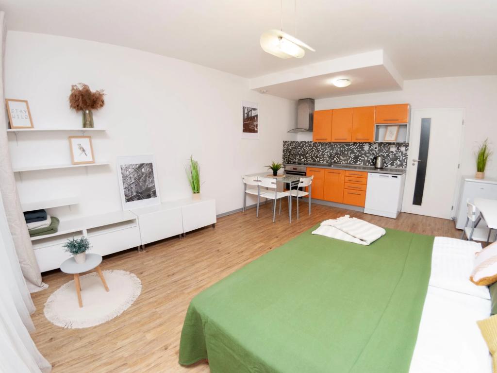 Pronájem bytu 1+kk 33 m2