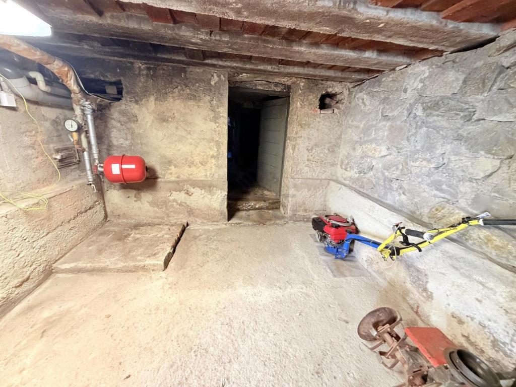 Pronájem domu 319 m2