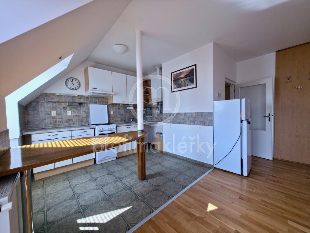Pronájem bytu 1+kk 51 m2