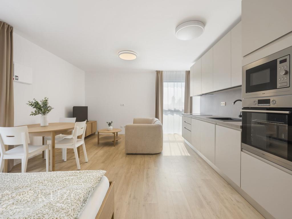 Pronájem bytu 1+kk 38 m2