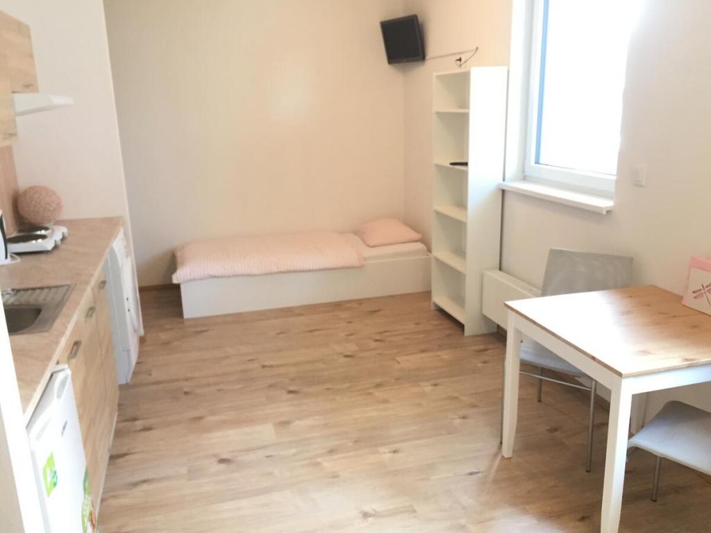 Pronajem bytu 1+kk 31 m2