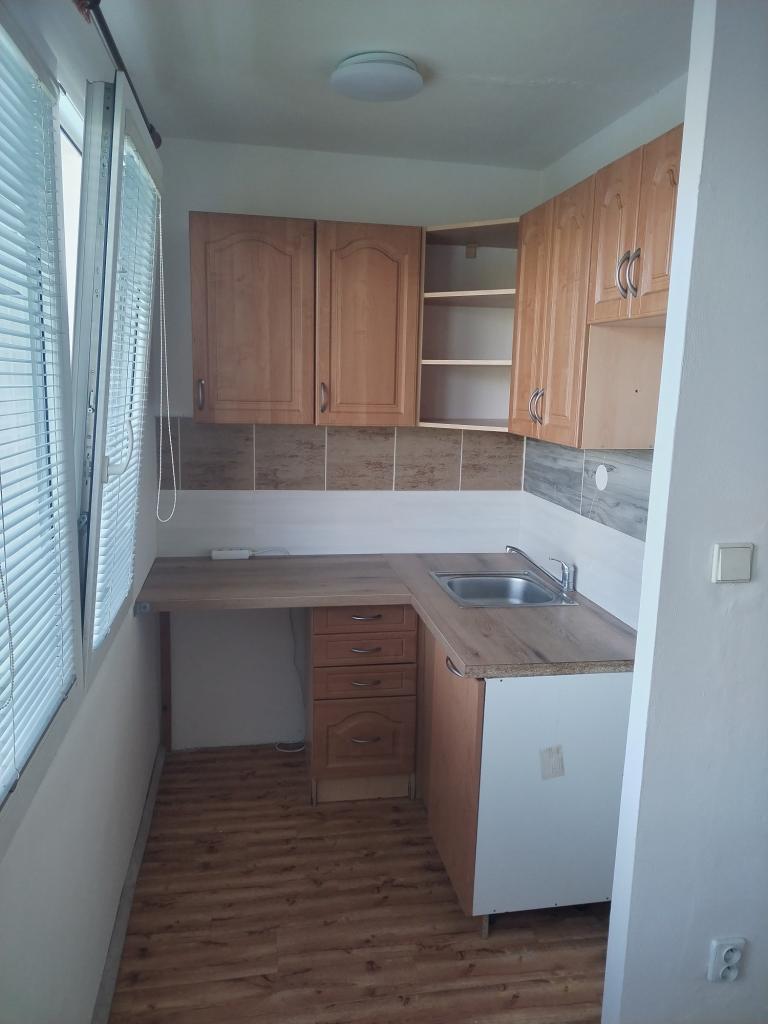 Pronájem bytu 1+kk 38 m2