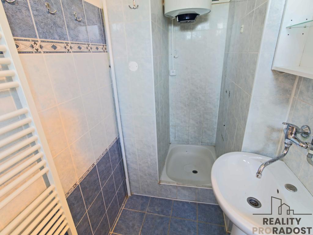 Pronájem bytu 1+1 53 m2