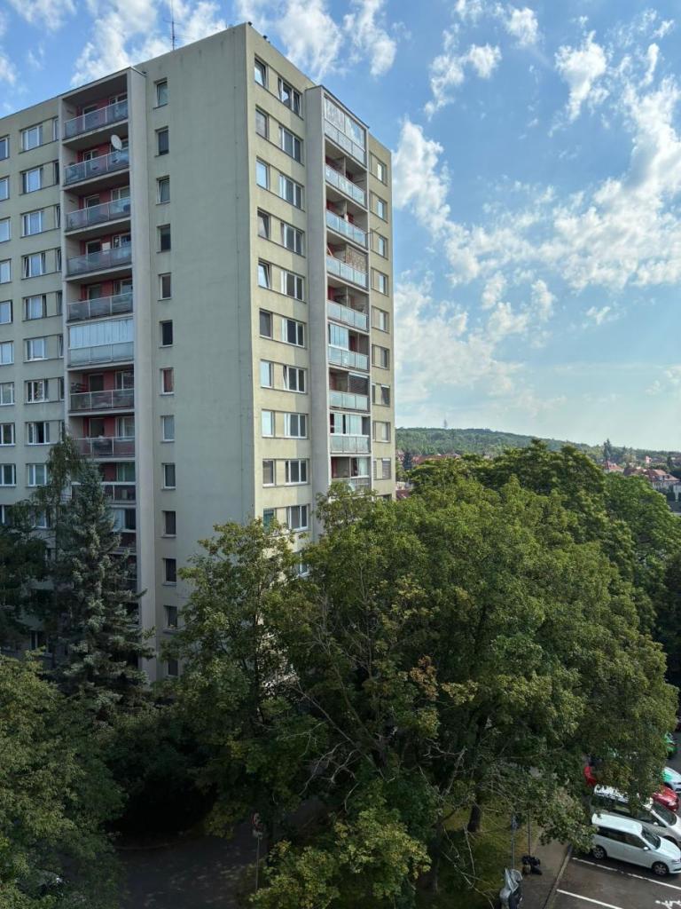 Pronájem bytu 1+1 35 m² – pohled 5