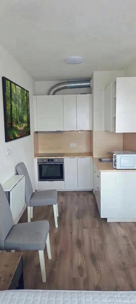 Pronájem bytu 1+kk 42 m2