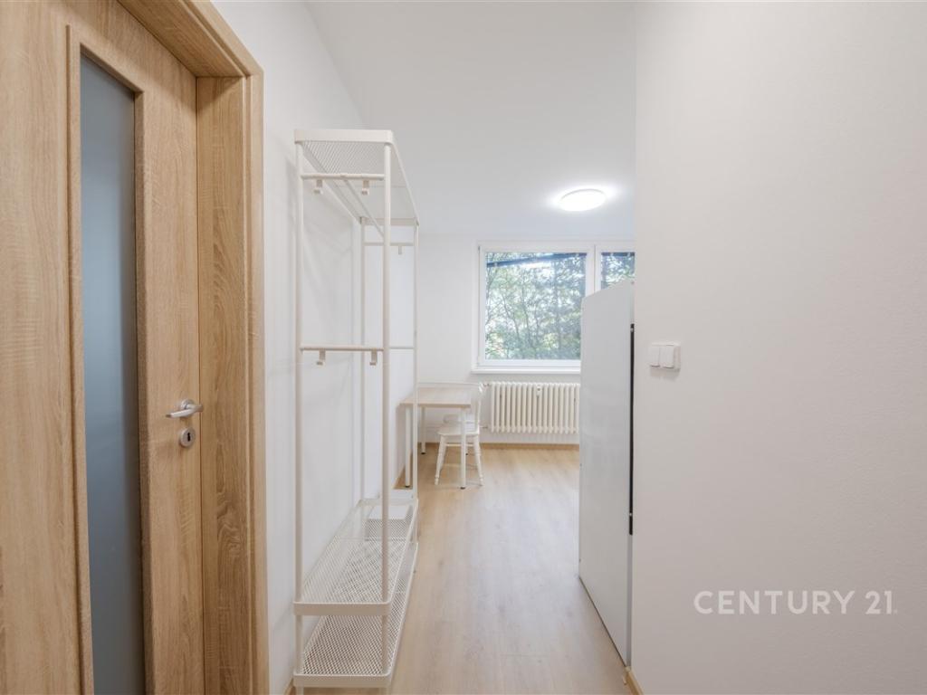 Pronájem bytu 1+1 32 m2