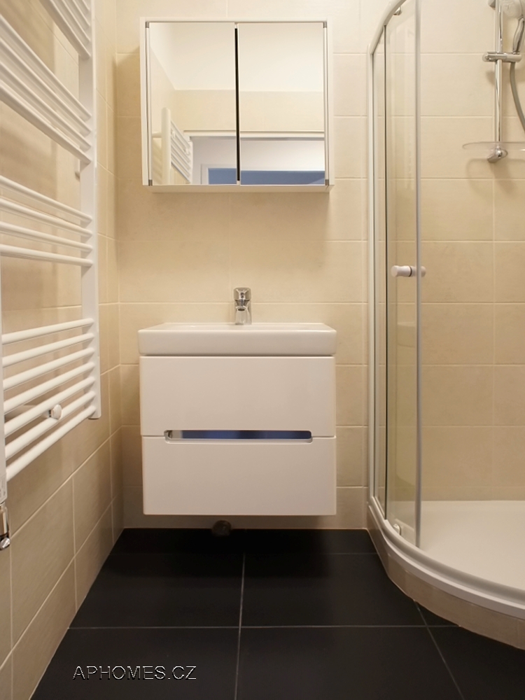 Pronájem bytu 1+1 50 m2