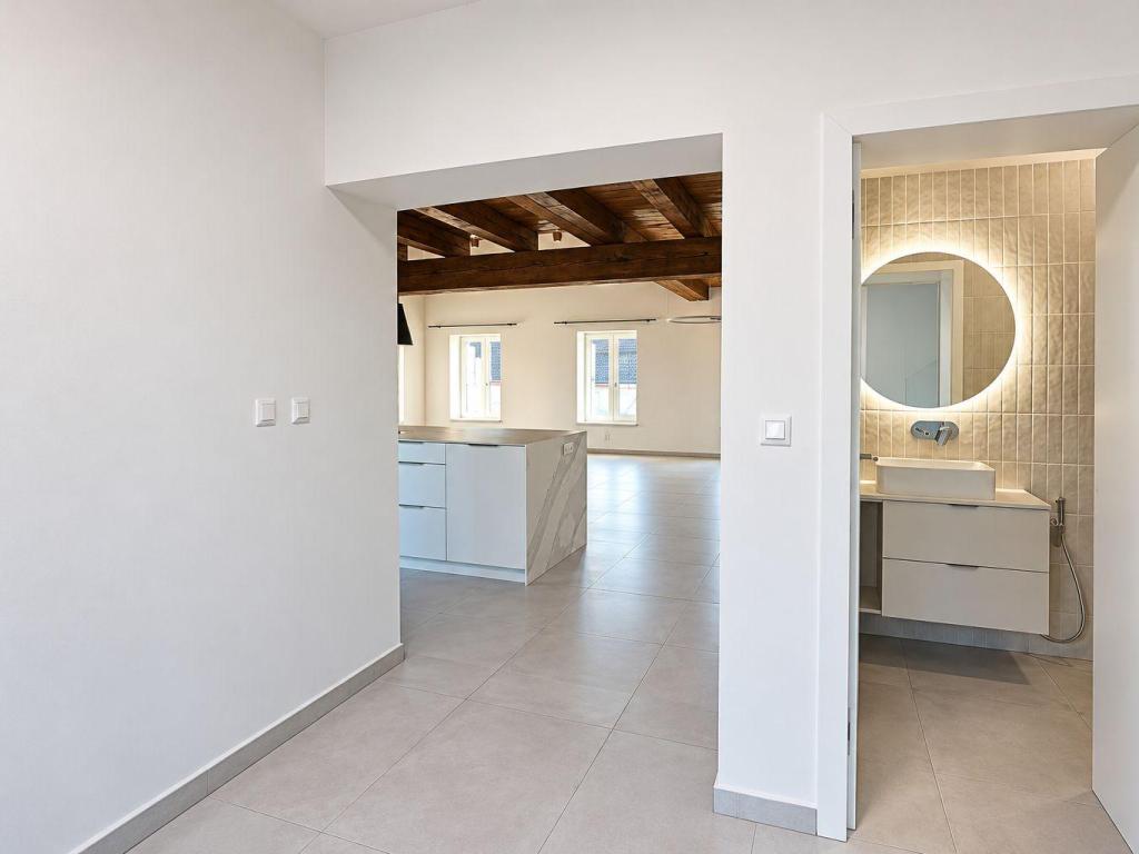Pronájem bytu 4+kk 196 m2, Rybníček – náhled fotky 10