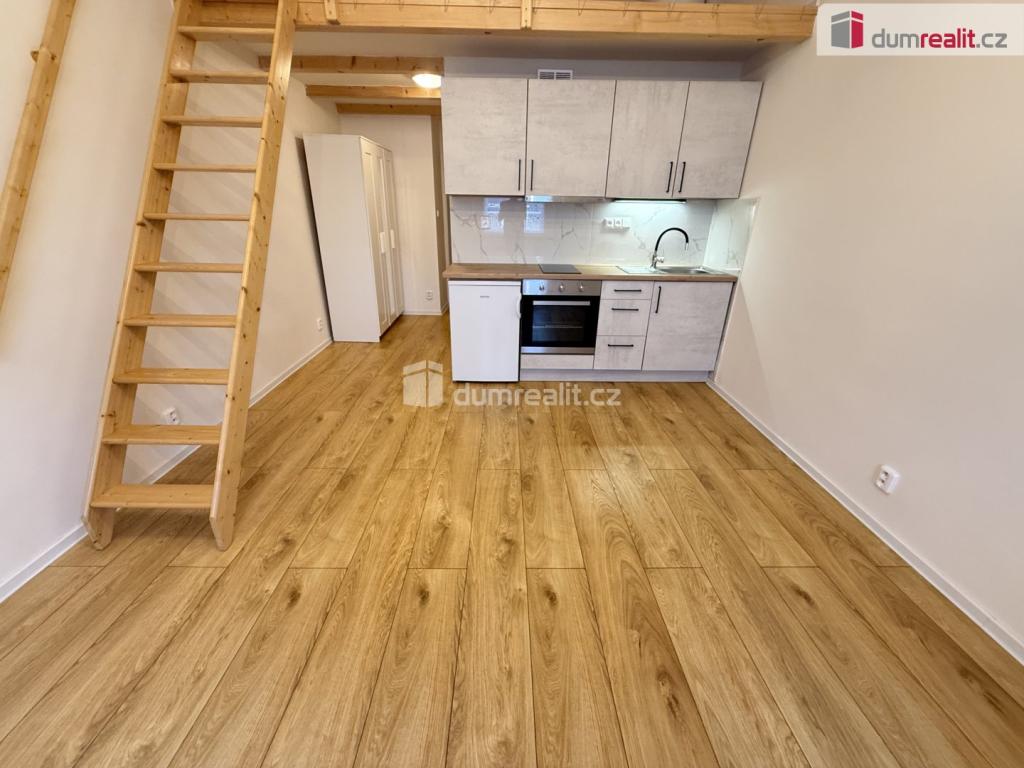 Pronájem bytu 1+kk 42 m2