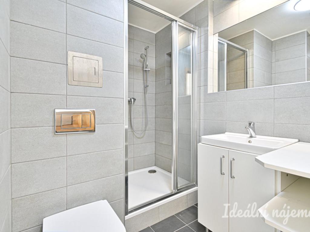 Pronájem bytu 1+1 34 m² – další