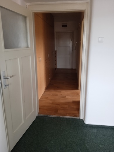 Pronajem bytu 2+1 52 m2