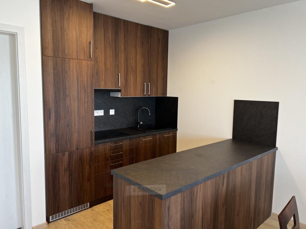 Pronájem bytu 1+kk 47 m2