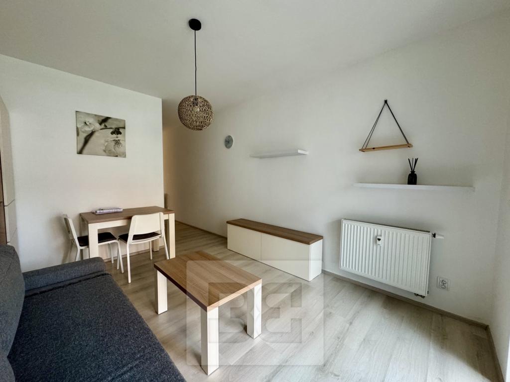 Pronájem bytu 1+kk 40 m2
