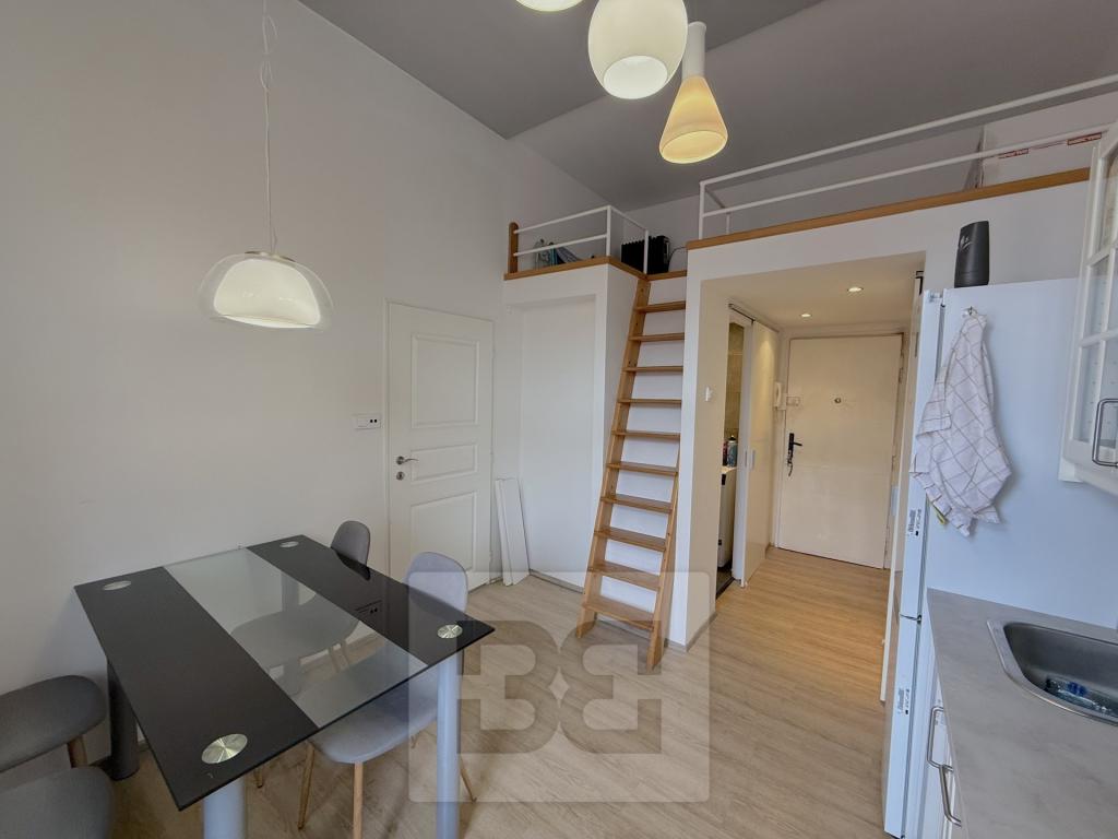 Pronájem bytu 1+1 40 m2, Praha – náhled fotky 7