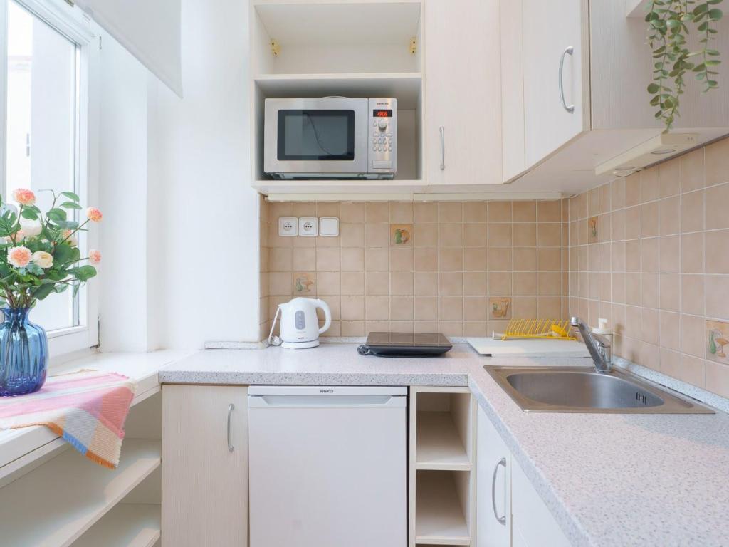 Pronájem bytu 2+1 60 m2